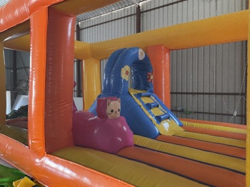 Şişme Oyun Parkı Kedili