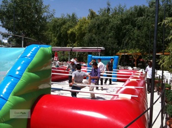 Şişme Canlı Langırt Borulu