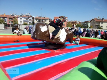 Şişme Rodeo Mekanizması Seti