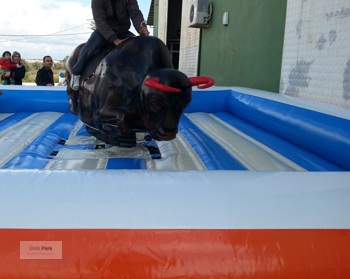 Şişme Rodeo Mekanizması Seti