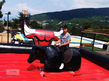 Şişme Rodeo Mekanizması Seti